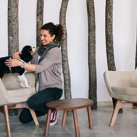 Vagabond 3* 里乔内