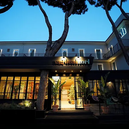Vagabond Riccione