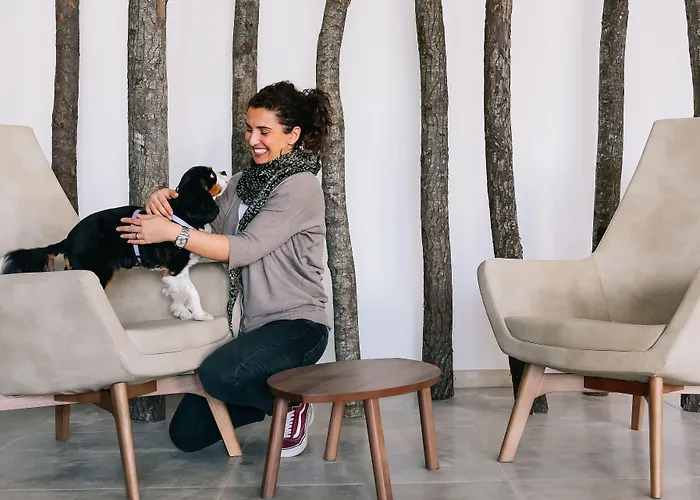 Vagabond 3* 리치오네